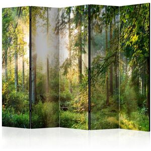 ARTGEIST Przegroda pokojowa Untamed Nature - 225x172 cm ARTGEIST Przegroda pokojowa Untamed Nature - 225x172 cm