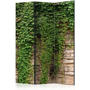 Artgeist Ivy Wall Parawan - 135x172cm - Drewno, Obustronny Druk Artgeist Ivy Wall Parawan - 135x172cm - Drewno, Obustronny Druk