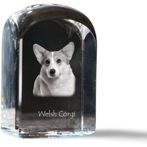 Pembroke Welsh Corgi - kryształowa kostka ze zdjęciem, zdjęcie psa w krysztale, sześcienny przycisk do papieru marki Art-Dog Pembroke Welsh Corgi - kryształowa kostka ze zdjęciem, zdjęcie psa w krysztale, sześcienny przycisk do papieru marki Art-Dog