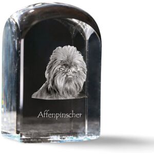 Pinczer małpi, Affenpinczer - kryształowa kostka ze zdjęciem, zdjęcie psa w krysztale, sześcienny przycisk do papieru marki Art-Dog Pinczer małpi, Affenpinczer - kryształowa kostka ze zdjęciem, zdjęcie psa w krysztale, sześcienny przycisk do papieru marki Art-Dog