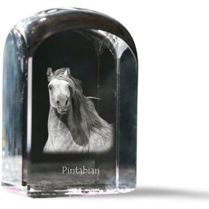 Pintabian - kryształowa kostka ze zdjęciem, zdjęcie konia w krysztale, sześcienny przycisk do papieru marki Art-Dog Pintabian - kryształowa kostka ze zdjęciem, zdjęcie konia w krysztale, sześcienny przycisk do papieru marki Art-Dog