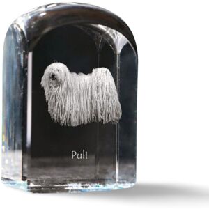Puli - kryształowa kostka ze zdjęciem, zdjęcie psa w krysztale, sześcienny przycisk do papieru marki Art-Dog Puli - kryształowa kostka ze zdjęciem, zdjęcie psa w krysztale, sześcienny przycisk do papieru marki Art-Dog