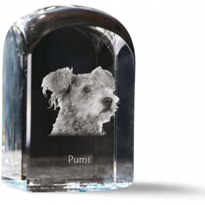 ART Pumi - kryształowa kostka ze zdjęciem, zdjęcie psa w krysztale, sześcienny ART Pumi - kryształowa kostka ze zdjęciem, zdjęcie psa w krysztale, sześcienny