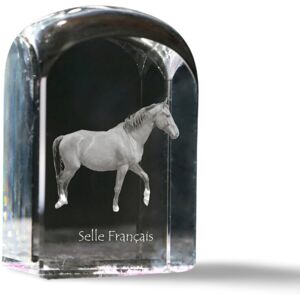 Selle Francais - kryształowa kostka ze zdjęciem, zdjęcie konia w krysztale, sześcienny przycisk do papieru marki Art-Dog Selle Francais - kryształowa kostka ze zdjęciem, zdjęcie konia w krysztale, sześcienny przycisk do papieru marki Art-Dog