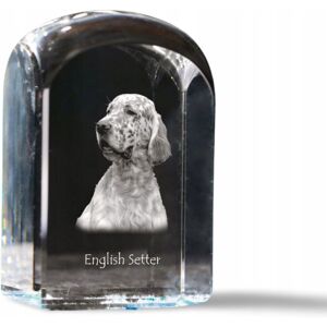 ART Seter angielski, Laverack - kryształowa kostka ze zdjęciem, zdjęcie psa w k ART Seter angielski, Laverack - kryształowa kostka ze zdjęciem, zdjęcie psa w k