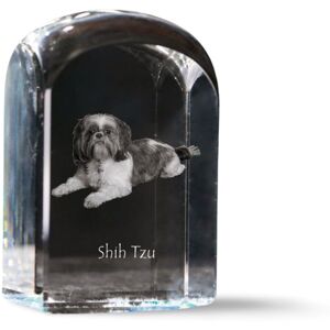 Shih Tzu, Shi tsu, Shi-Tzu, Szi-cu, Szitzu - kryształowa kostka ze zdjęciem, zdjęcie psa w krysztale, sześcienny przycisk do papieru marki Art-Dog Shih Tzu, Shi tsu, Shi-Tzu, Szi-cu, Szitzu - kryształowa kostka ze zdjęciem, zdjęcie psa w krysztale, sześcienny przycisk do papieru marki Art-Dog