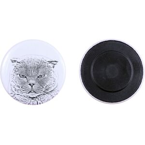 Szkocki fold - kolekcja wyjątkowych magnesów, własne zdjęcie, marka Art-Dog Szkocki fold - kolekcja wyjątkowych magnesów, własne zdjęcie, marka Art-Dog