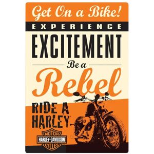 ART Szyld 3D, Harley Davidson, Get On a Bikie, Magia Świąt zaczyna się u nas ART Szyld 3D, Harley Davidson, Get On a Bikie, Magia Świąt zaczyna się u nas