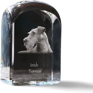 Terier irlandzki, Irish Red Terrier - kryształowa kostka ze zdjęciem, zdjęcie psa w krysztale, sześcienny przycisk do papieru marki Art-Dog Terier irlandzki, Irish Red Terrier - kryształowa kostka ze zdjęciem, zdjęcie psa w krysztale, sześcienny przycisk do papieru marki Art-Dog