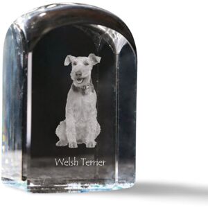ART Terier walijski, Welsh Terrier - kryształowa kostka ze zdjęciem, zdjęcie ps ART Terier walijski, Welsh Terrier - kryształowa kostka ze zdjęciem, zdjęcie ps