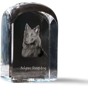 Tervueren Owczarek belgijski - kryształowa kostka ze zdjęciem, zdjęcie psa w krysztale, sześcienny przycisk do papieru marki Art-Dog Tervueren Owczarek belgijski - kryształowa kostka ze zdjęciem, zdjęcie psa w krysztale, sześcienny przycisk do papieru marki Art-Dog