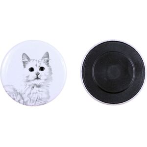 Turecka wiewiórka - kolekcja wyjątkowych magnesów, własne zdjęcie, marka Art-Dog Turecka wiewiórka - kolekcja wyjątkowych magnesów, własne zdjęcie, marka Art-Dog