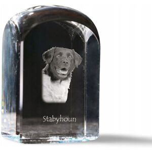 ART Wyżeł fryzyjski, Stabyhoun - kryształowa kostka ze zdjęciem, zdjęcie psa w ART Wyżeł fryzyjski, Stabyhoun - kryształowa kostka ze zdjęciem, zdjęcie psa w