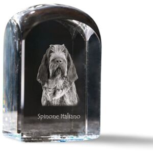 Wyżeł włoski szorstkowłosy, Spinone italiano - kryształowa kostka ze zdjęciem, zdjęcie psa w krysztale, sześcienny przycisk do papieru marki Art-Dog Wyżeł włoski szorstkowłosy, Spinone italiano - kryształowa kostka ze zdjęciem, zdjęcie psa w krysztale, sześcienny przycisk do papieru marki Art-Dog