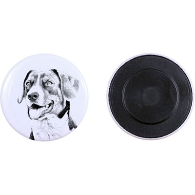 Appenzeller, Pies górski z Appenzell - magnes z psim pupilem, wyjątkowo lekki, mocny magnes, produkt wykonany ręcznie marki Art-Dog Appenzeller, Pies górski z Appenzell - magnes z psim pupilem, wyjątkowo lekki, mocny magnes, produkt wykonany ręcznie marki Art-Dog
