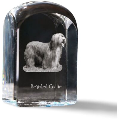 ART Bearded Collie, Highland Collie - kryształowa kostka ze zdjęciem, zdjęcie p ART Bearded Collie, Highland Collie - kryształowa kostka ze zdjęciem, zdjęcie p