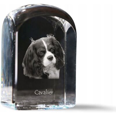 ART Cavalier King Charles Spaniel - Kryształowa Kostka Ze Zdjęciem, Zdjęcie Psa ART Cavalier King Charles Spaniel - Kryształowa Kostka Ze Zdjęciem, Zdjęcie Psa