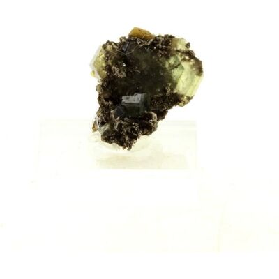 Inny producent Kamienie i minerały - ABIJOUX - Apatyt + Moskal - 19,45 ct - Niebieski - Mieszany Inny producent Kamienie i minerały - ABIJOUX - Apatyt + Moskal - 19,45 ct - Niebieski - Mieszany