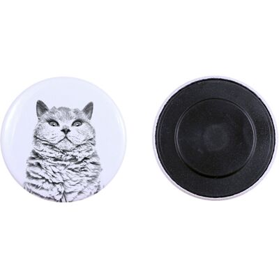 Kot Selkirk Rex krótkowłosy - kolekcja wyjątkowych magnesów, własne zdjęcie, marka Art-Dog Kot Selkirk Rex krótkowłosy - kolekcja wyjątkowych magnesów, własne zdjęcie, marka Art-Dog