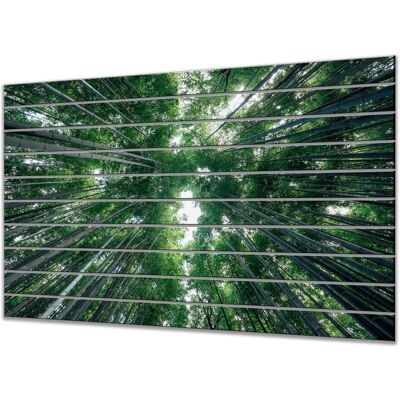 Inny producent Lamele szklane do gabinetu Zielona katedra bambusowego lasu 150x97 cm Inny producent Lamele szklane do gabinetu Zielona katedra bambusowego lasu 150x97 cm