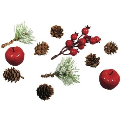 Rayher Naturalna mieszanka z jabłkami i jagodami, różne, 2-12cm, saszetka z zakładkami 11szt Rayher Naturalna mieszanka z jabłkami i jagodami, różne, 2-12cm, saszetka z zakładkami 11szt