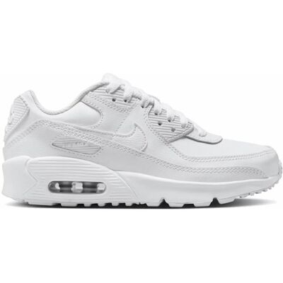 Nike Air Max 90 GS LTR CD6864 133 Nike Air Max 90 GS LTR CD6864 133