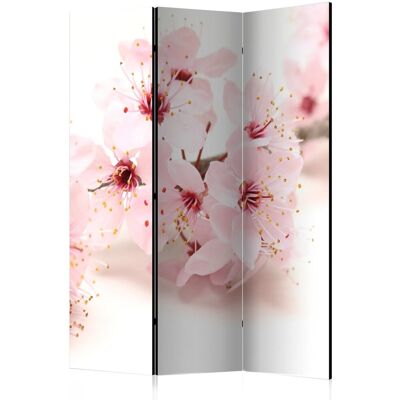 Artgeist Parawan Cherry Blossom - 135x172 cm - 3 paneli Artgeist Parawan Cherry Blossom - 135x172 cm - 3 paneli