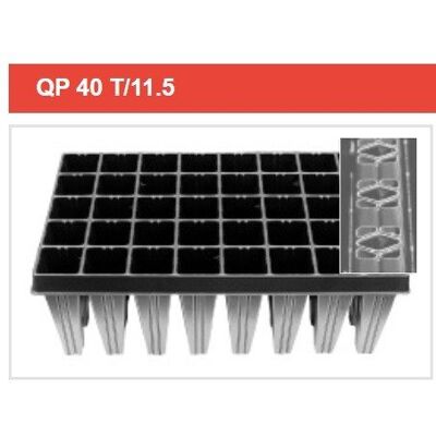 Euroflora QP 40 T/11.5 - Multiplaty - Karton 20 Sztuk Euroflora QP 40 T/11.5 - Multiplaty - Karton 20 Sztuk