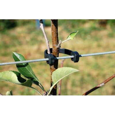 Euroflora REMA - 1135 - Stammhalter - Podtrzymywacz pnia 125 mm op. 500 szt Euroflora REMA - 1135 - Stammhalter - Podtrzymywacz pnia 125 mm op. 500 szt