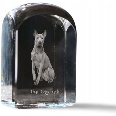 ART Thai Ridgeback - kryształowa kostka ze zdjęciem, zdjęcie psa w krysztale, s ART Thai Ridgeback - kryształowa kostka ze zdjęciem, zdjęcie psa w krysztale, s