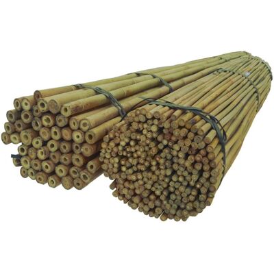 ABC Tyczki bambusowe 150 cm 12/14 mm /50 szt ABC Tyczki bambusowe 150 cm 12/14 mm /50 szt