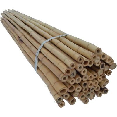 ABC Tyczki bambusowe 240 cm 30/35 mm /30 szt/ DEKOR ABC Tyczki bambusowe 240 cm 30/35 mm /30 szt/ DEKOR