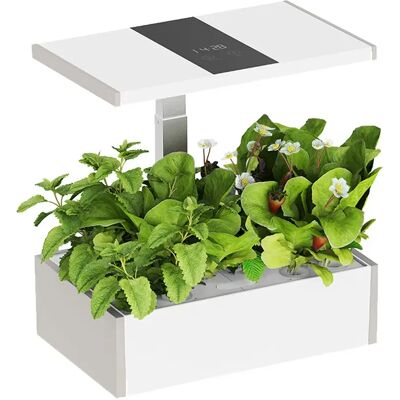 Spacetronik Inteligentna Doniczka 10l Z Lampą Do Wzrostu Roślin Z Wyświetlaczem Lcd Spgc20wl Spacetronik Inteligentna Doniczka 10l Z Lampą Do Wzrostu Roślin Z Wyświetlaczem Lcd Spgc20wl