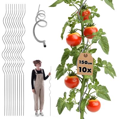 KADAX Tyczka Spiralna Do Pomidorów Roślin Fasoli Ogórków Podpora 150 Cm 10 Szt KADAX Tyczka Spiralna Do Pomidorów Roślin Fasoli Ogórków Podpora 150 Cm 10 Szt