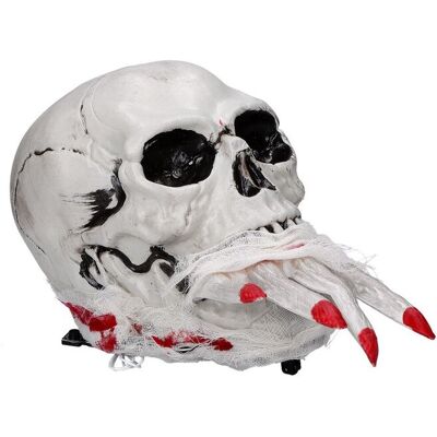 ABC Czaszka ludzka z palcami interaktywna halloween ABC Czaszka ludzka z palcami interaktywna halloween