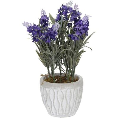Boltze Dekoracja Levander 32cm, 11 x 11 x 32 cm Boltze Dekoracja Levander 32cm, 11 x 11 x 32 cm