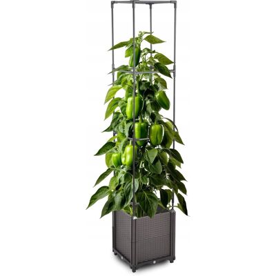 Inny producent DONICA OGRODOWA Z PODPORĄ DO ROŚLIN PNĄCYCH 4 POZIOMY 164 CM Inny producent DONICA OGRODOWA Z PODPORĄ DO ROŚLIN PNĄCYCH 4 POZIOMY 164 CM