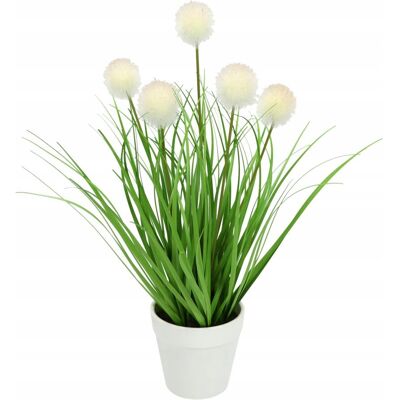 Inny producent FLAIR FLOWER Sztuczna Trawa Knopfgras w Doniczce Dekoracja Inny producent FLAIR FLOWER Sztuczna Trawa Knopfgras w Doniczce Dekoracja