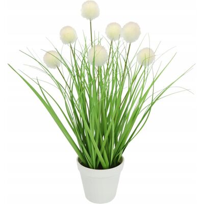 Inny producent FLAIR FLOWER Sztuczna Trawa Knopfgras w Doniczce Zielona Dekoracja Inny producent FLAIR FLOWER Sztuczna Trawa Knopfgras w Doniczce Zielona Dekoracja