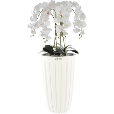 Botle Storczyk sztuczny biały w donicy bukiet orchidea H 100 cm donica biała żłobienia Botle Storczyk sztuczny biały w donicy bukiet orchidea H 100 cm donica biała żłobienia