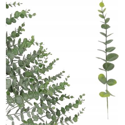 Inny producent SZTUCZNY EUKALIPTUS ZIELONY SZTUCZNE KWIATY BUKIET STROIK WAZON 38cm Inny producent SZTUCZNY EUKALIPTUS ZIELONY SZTUCZNE KWIATY BUKIET STROIK WAZON 38cm