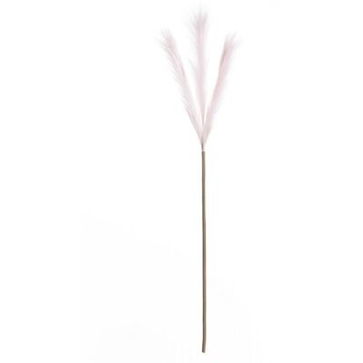 Dekoria Trawa pampasowa 100cm light pink, 2 x 2 x 100 cm Dekoria Trawa pampasowa 100cm light pink, 2 x 2 x 100 cm