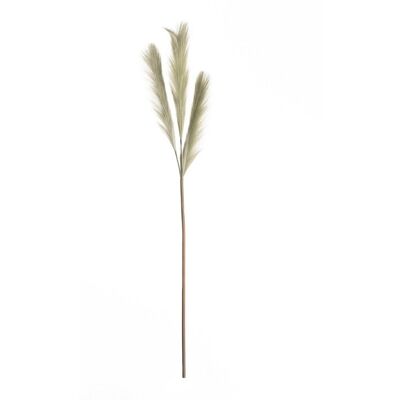 Dekoria Trawa pampasowa 110cm green, 2 x 2 x 110 cm Dekoria Trawa pampasowa 110cm green, 2 x 2 x 110 cm