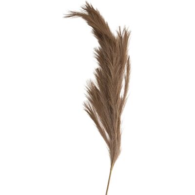 Homla Gałązka Sztuczna Canne Ciepły Brąz Duża 150 Cm Homla Gałązka Sztuczna Canne Ciepły Brąz Duża 150 Cm
