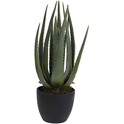 ProGarden Sztuczna roślina doniczkowa ALOES duże liście 45cm Jak żywy do Salonu Taras ProGarden Sztuczna roślina doniczkowa ALOES duże liście 45cm Jak żywy do Salonu Taras