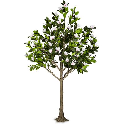 ART Sztuczne Drzewo Magnolia Kwitnąca Biała Jak Żywa Ogromna 340 Cm Gigant Xxl ART Sztuczne Drzewo Magnolia Kwitnąca Biała Jak Żywa Ogromna 340 Cm Gigant Xxl