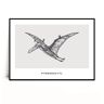Fox Art Studio, Plakat Pterodactyl, wymiary 50x70 cm