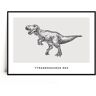 Fox Art Studio, Plakat Tyrannosaurus Rex, wymiary 29,7x42 cm