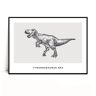 Fox Art Studio, Plakat Tyrannosaurus Rex, wymiary 50x70 cm