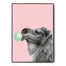Fox Art Studio, Plakat Wielbłąd, Bubble gum, wymiary 40x50 cm